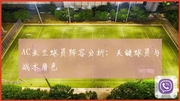 AC米兰球员阵容分析：关键球员与战术角色
