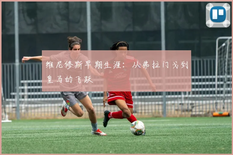 维尼修斯早期生涯：从弗拉门戈到皇马的飞跃
